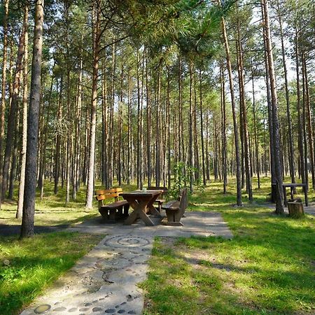 Forest Cottage Neringa Eksteriør bilde