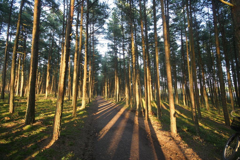 Forest Cottage Neringa Rom bilde