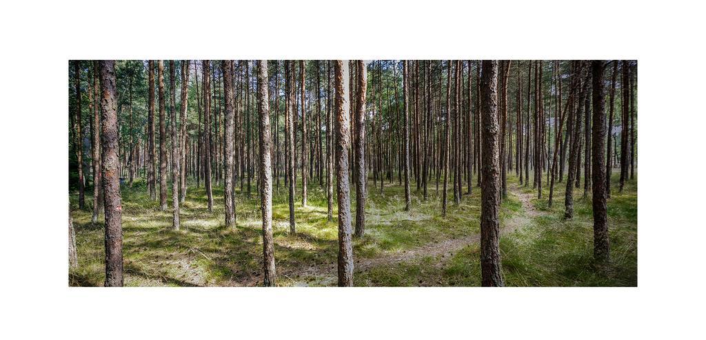 Forest Cottage Neringa Eksteriør bilde